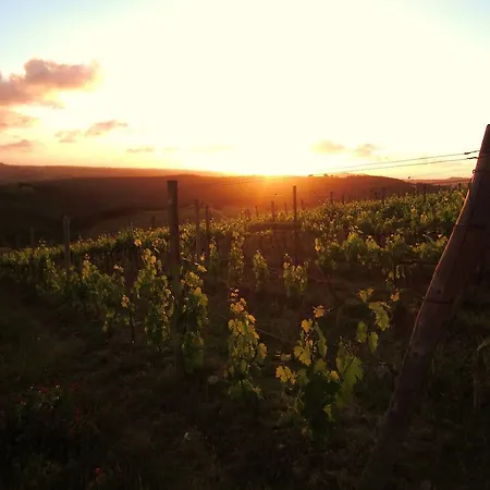 Bed and Breakfast Grano E Lavanda Greve in Chianti