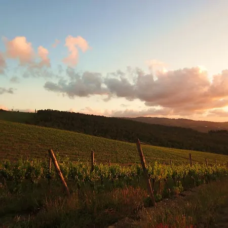 Grano E Lavanda Greve in Chianti