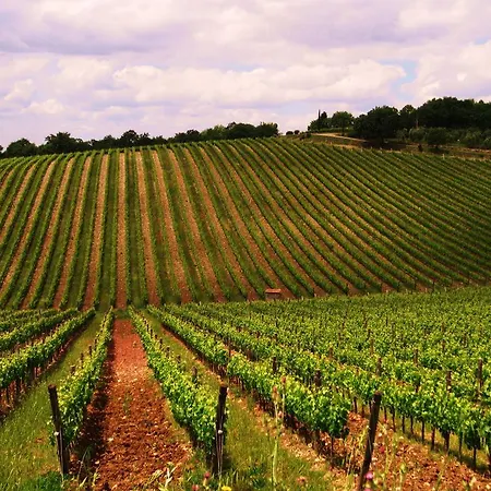 Couette-café Grano E Lavanda 3*