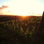 Bed & Breakfast Grano E Lavanda Greve in Chianti